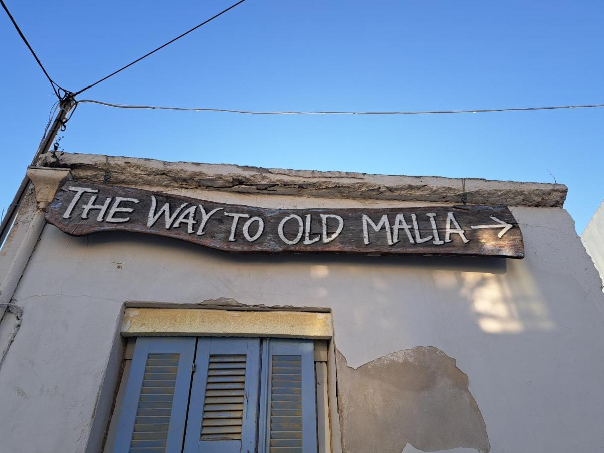 Stella Apartments Malia Exteriör bild